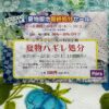 代替えテキスト