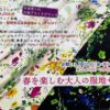 代替えテキスト